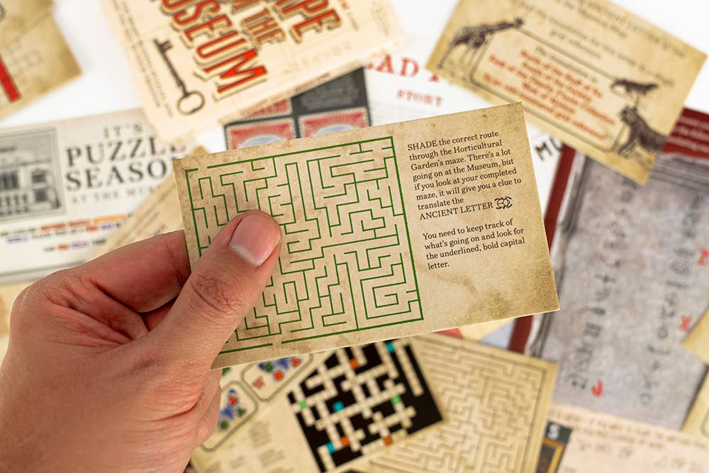 Escape from the Museum Game