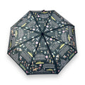 Umbrella - Washington DC Buildings