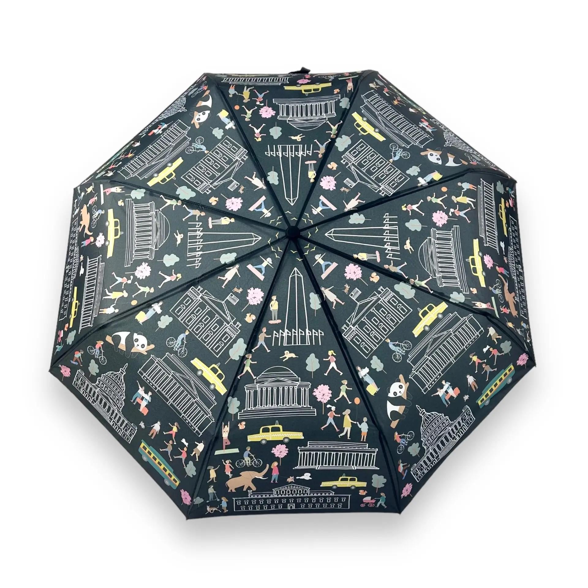 Umbrella - Washington DC Buildings
