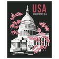 Washington DC Capital Building & Cherry Blossoms