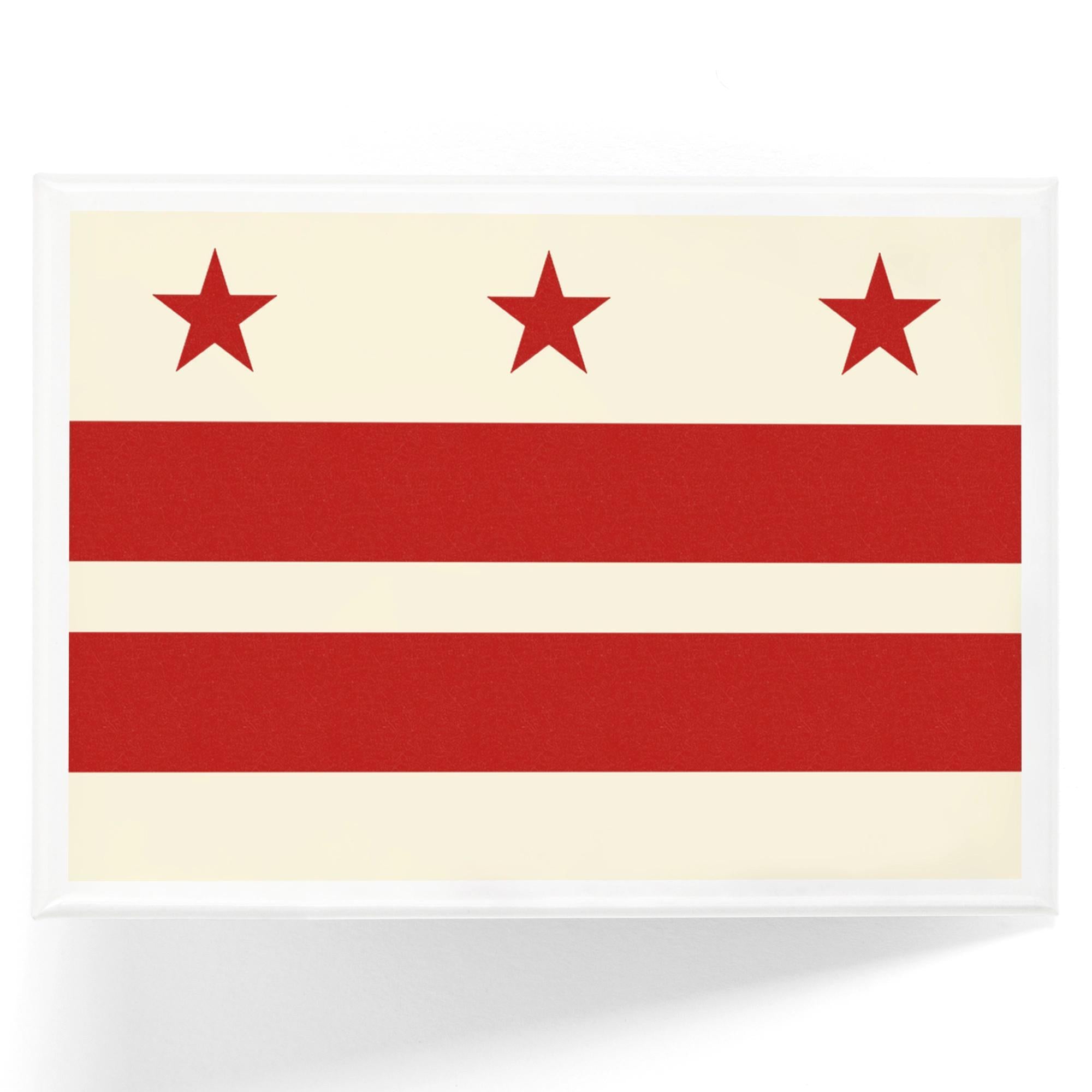 Magnet - Washington DC Flag