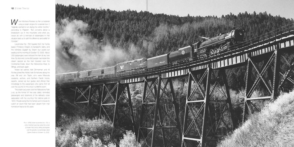 Steam Trains